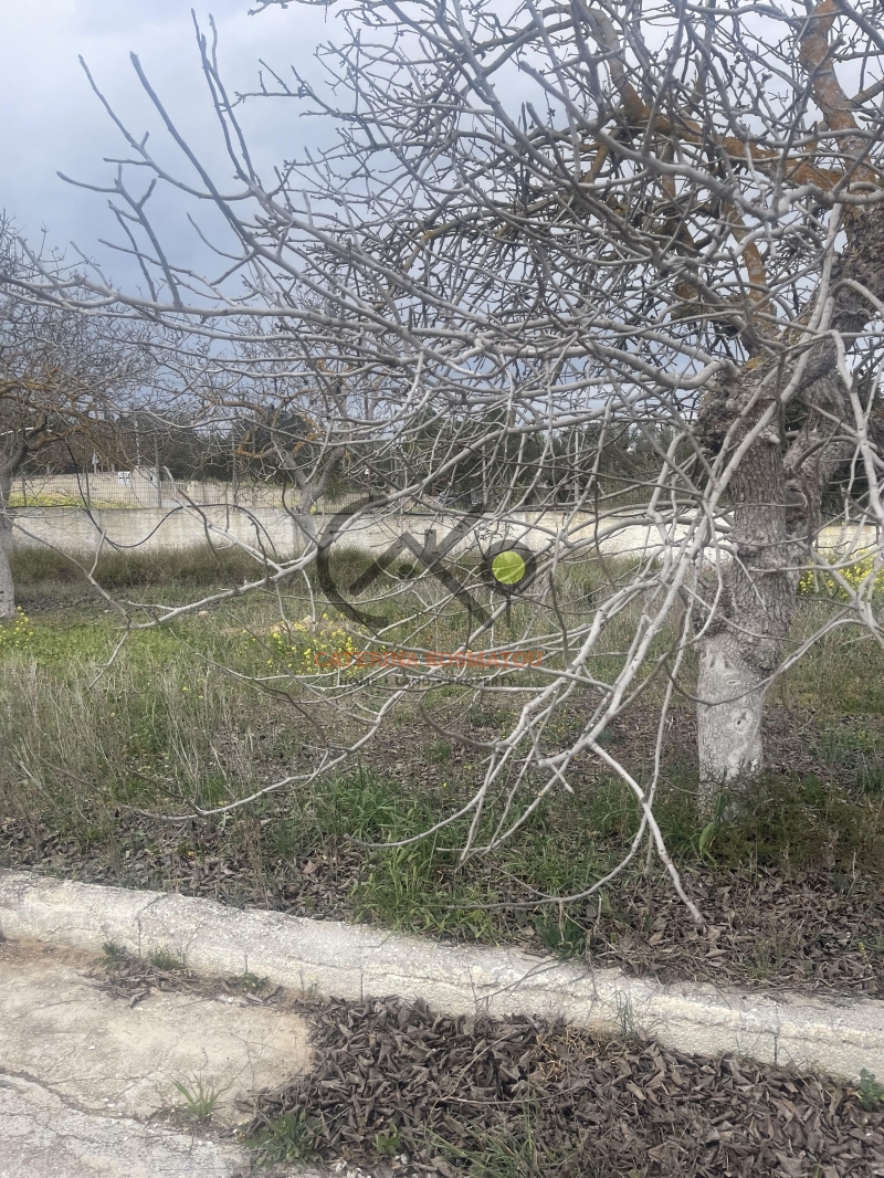 property-img