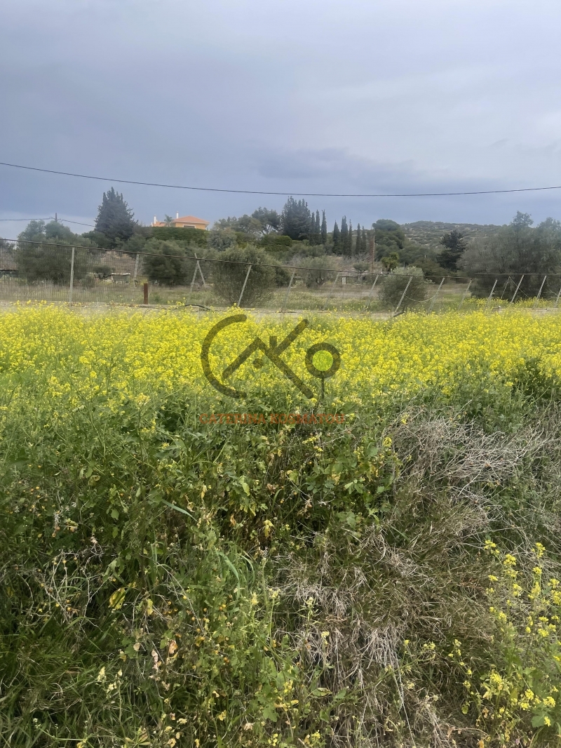 property-img