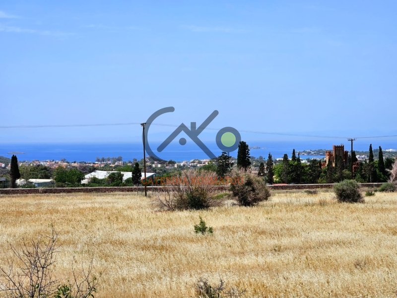 property-img