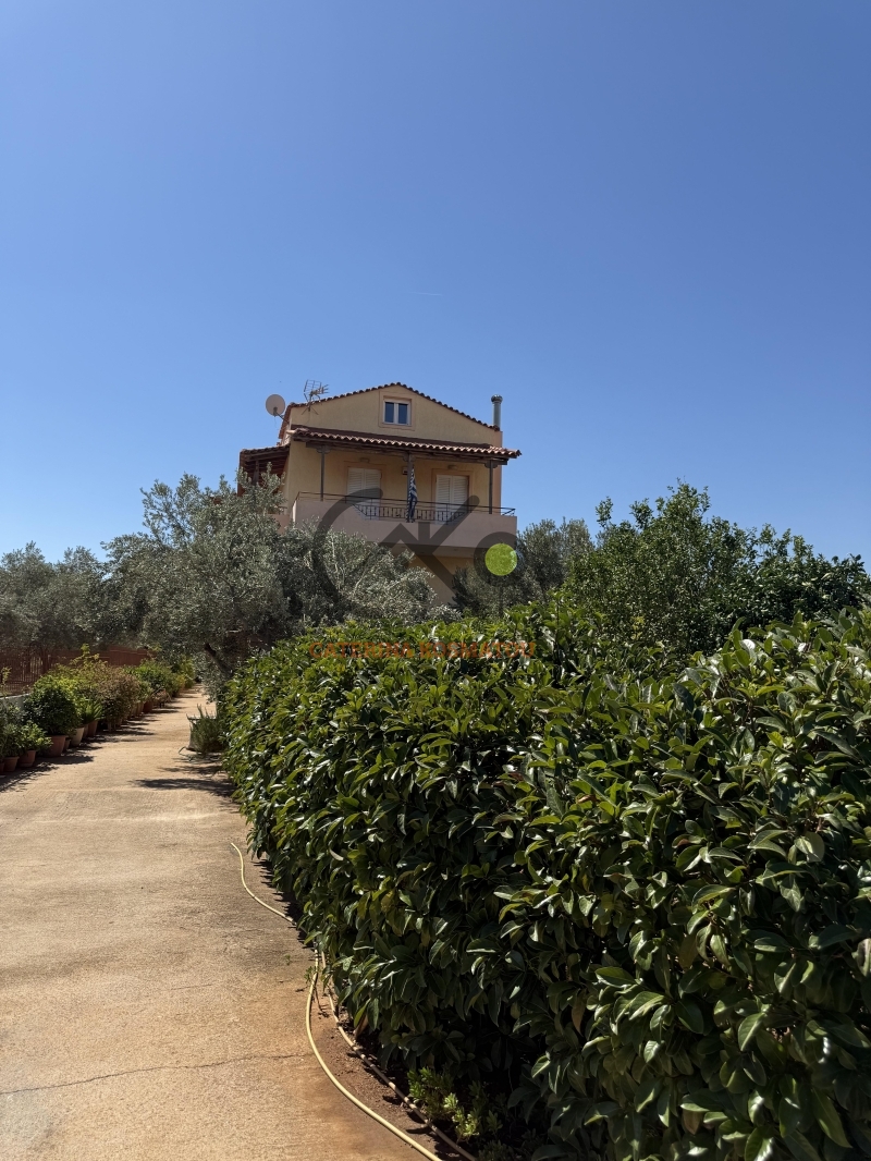 property-img