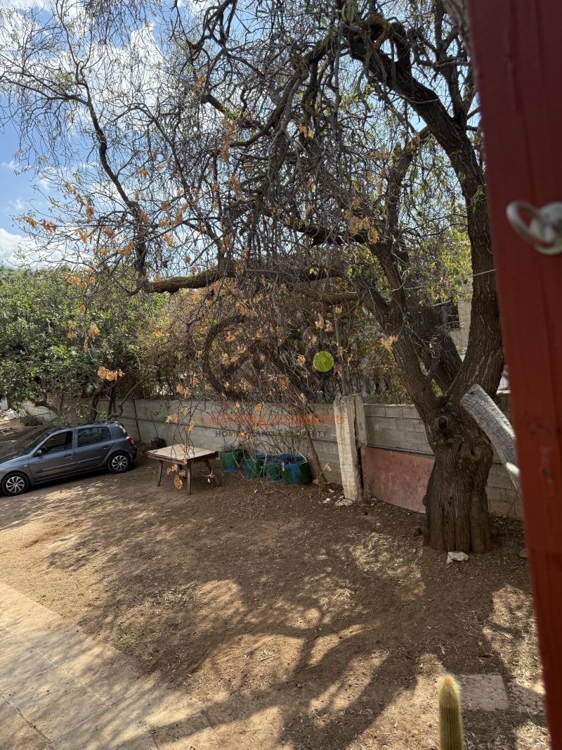 property-img