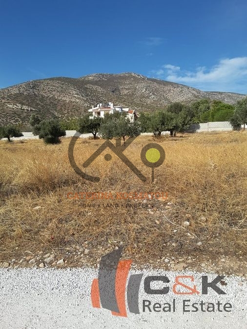 property-img